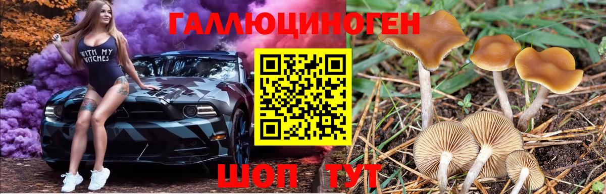 Псилоцибиновые грибы MAGIC MUSHROOMS  Вход с VPN  Медногорск 